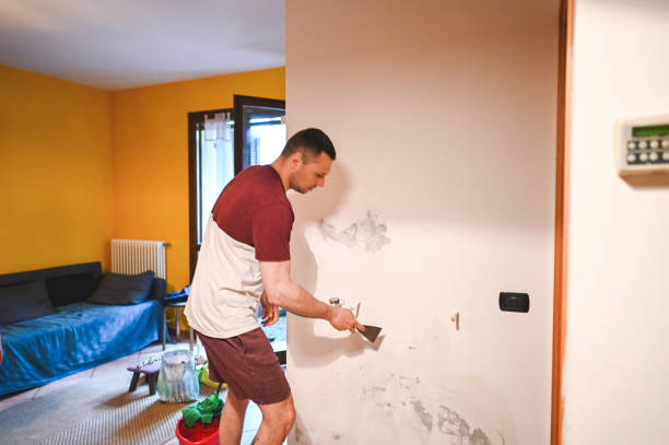 Best Professional Mold Removal  in Thiensville, WI