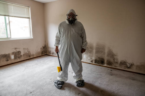 Best Mold Removal Process  in Thiensville, WI