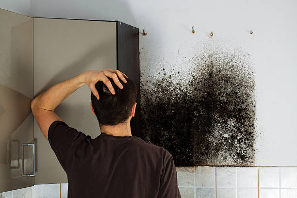 Certified Mold Removal in Thiensville, WI